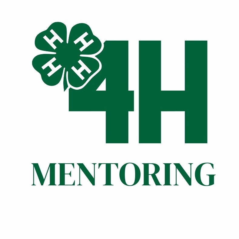 4-H Mentoring