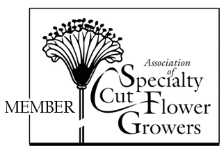 Association of Specialty Cut Flower Growers