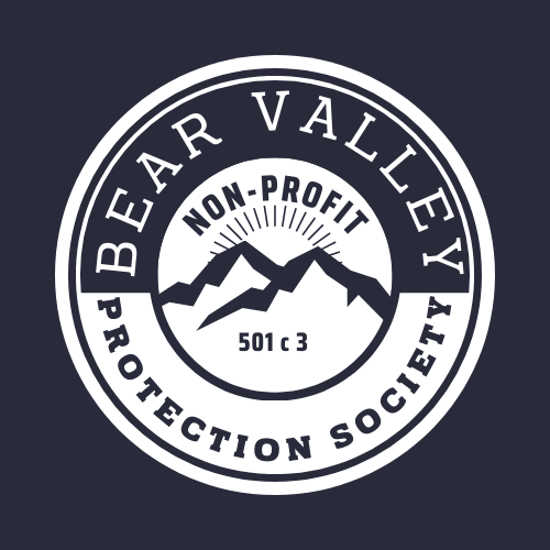 San Bernadino National Forest