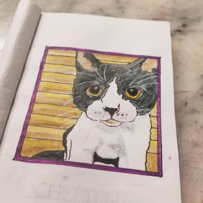 Tumbler Kozy, Custom Our Cat