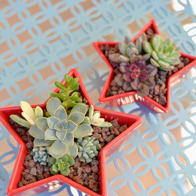 Sample Of Arrangement