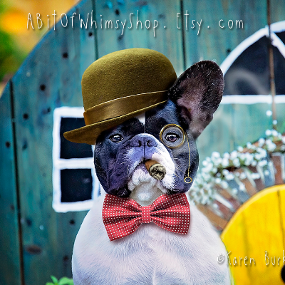 Fun Fine Art And Whimsical Animal Art
