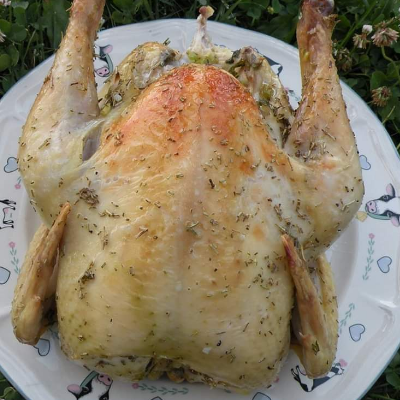 Pastured Meat Chickens