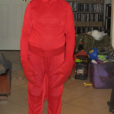 Lobster Costume