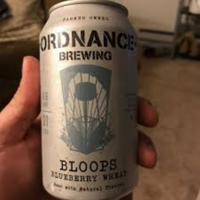 Bloops, Blueberry Wheat Beer