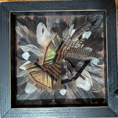 Feather Art 1