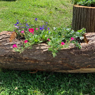 Cedar Planters