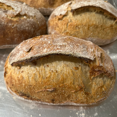 Sourdough
