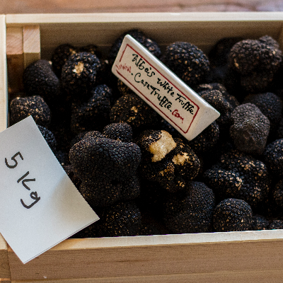 Fresh Truffles