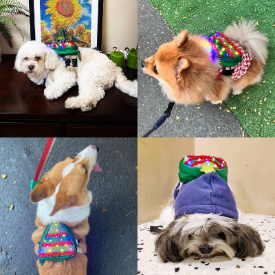 Ruffsack Handmade Dog Backpack With Harness – Christmas Pine