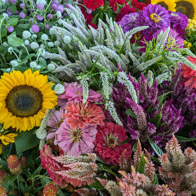 Cut Flower Bouquets & Arrangements