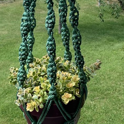 All Weather Plant Hangers