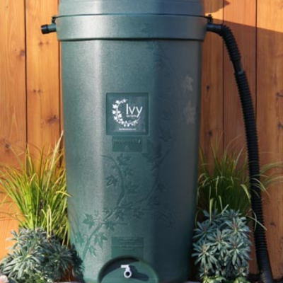 Ivy - 50 Gallon Rainbarrel
