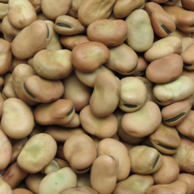 Fava ( Mediterrenian Fava Bean Pure)