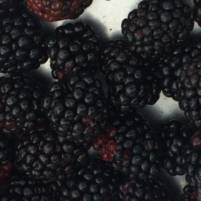 Blackberries
