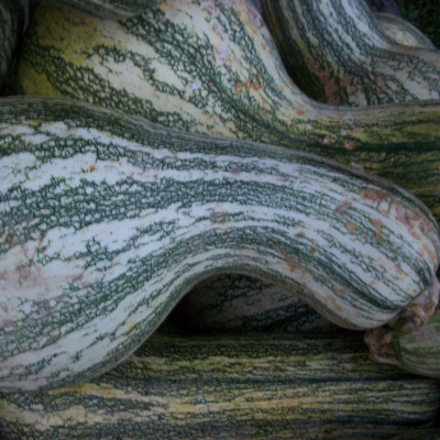 Green Striped Cutshaw