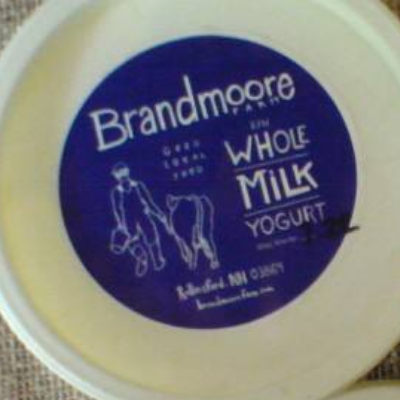 Whole Milk Yogurt