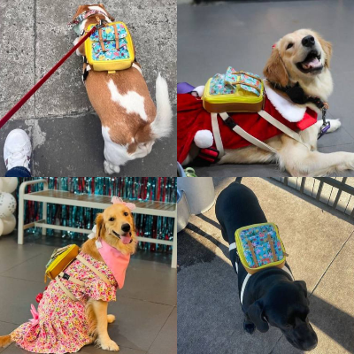 Ruffsack Handmade Dog Backpack With Harness – Dale In Yellow Floral