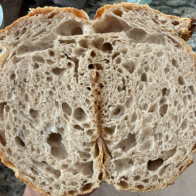 Sourdough Country Loaf