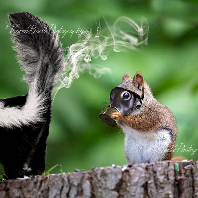 Fun Fine Art And Whimsical Animal Art