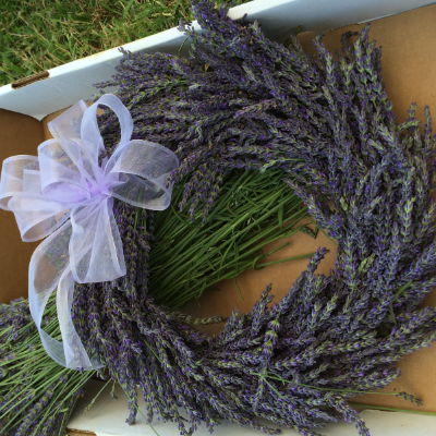 Lavender Oil - doTERRA Essential Oils - Marketspread