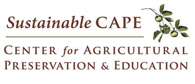 Sustainable Cape