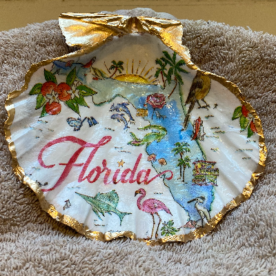 "Florida" Large Lion's Paw Scallop Shell