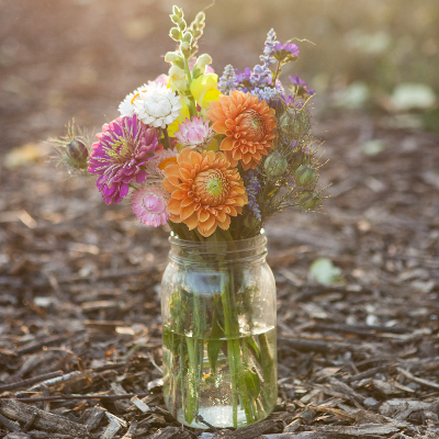 Cut Flowers