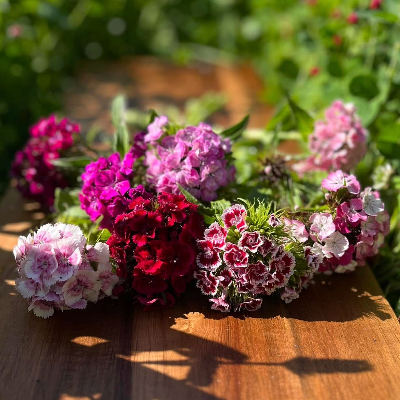 Fresh Cut Flower Bouquets