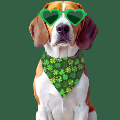 Hand-Crafted Pet Bandanas