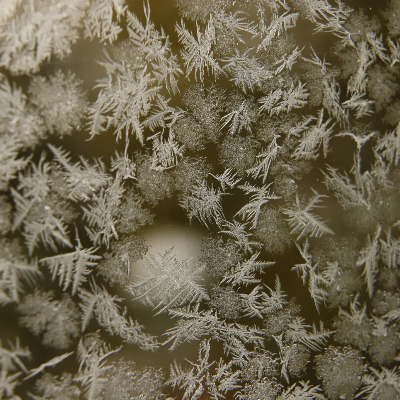 Large Format Fine Art Photography Prints