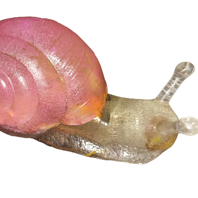 Snail