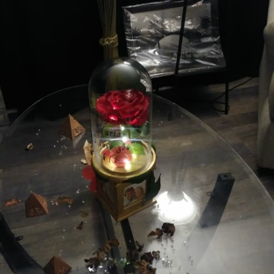 Red Beauty And The Beast Enchanted Flower Dome With Spinning Picture Frame