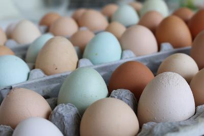 Eggs - Non-Gmo On Pasture