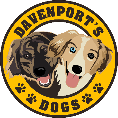 Farmhouse Dog Bowl Stand  Three Bowls - Davenport's Dogs