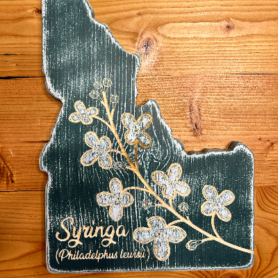 Syringa Branch Idaho State Decor