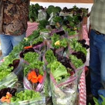 Riggs Outdoor-Grown Hearty Lettuce Mix