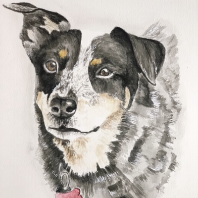 Custom Pet Portrait