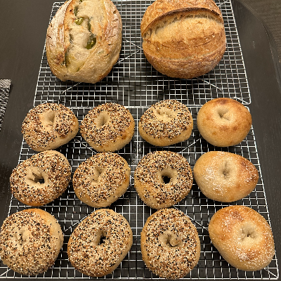 Sourdough Bagels
