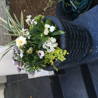 Container Garden By Peterson's Petals