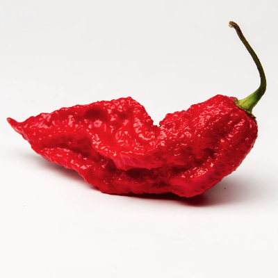Ghost Pepper (Bhut Jolokia)