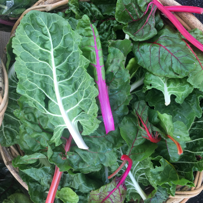 Swiss Chard