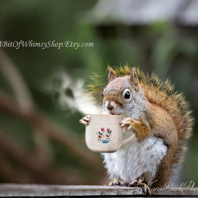 Fun Fine Art And Whimsical Animal Art
