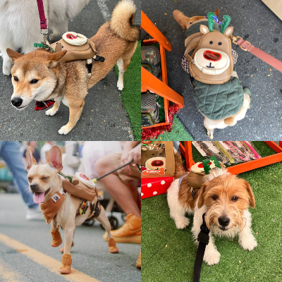 Ruffsack Handmade Dog Backpack With Harness – Christmas Rudolph