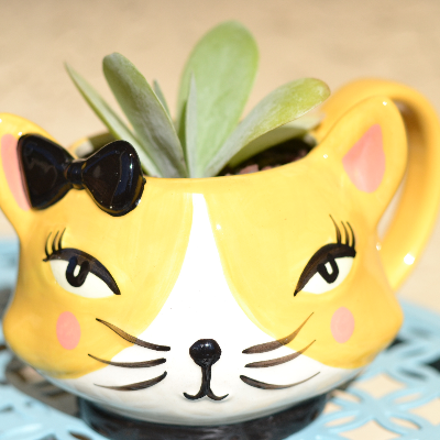 Sample Of Mug Planters