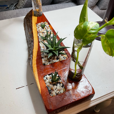 Handmade Cedar Planter With Succulents And Houseplants