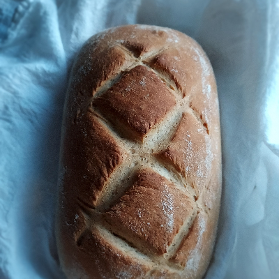 Bread, Artisan Slicer