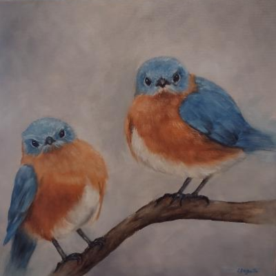 Grumpy Bluebirds
