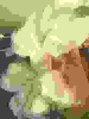 Undyed Mohair Roving