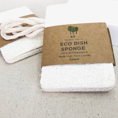 Compostable Sponges